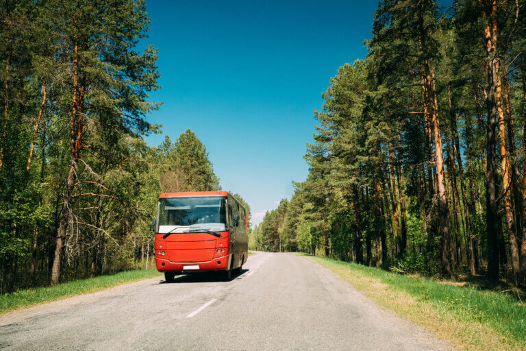 Comparing European Bus Tours: Tips & Tricks